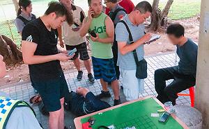 籃球客、清潔工原來全都是警察 公園「木龜」賭場遭破獲