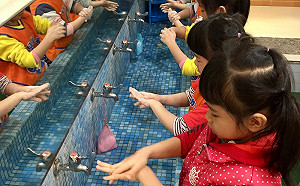 新北進入腸病毒流行期！衛生局籲：生病別上課