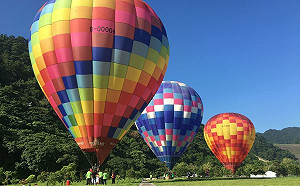 想搭熱氣球？石門熱氣球嘉年華6/23登場(影)