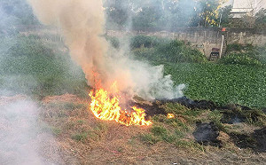 疑燒王船引發火警  警消成功阻絕延燒