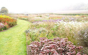 打卡這裡走！花博后里森林園區擁各式花海