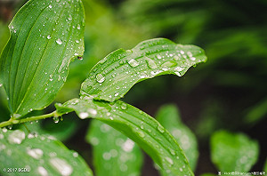 天氣轉悶熱！南台灣需留意短暫陣雨