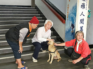 狗醫生助長者！陪搭車＋繞山巡邏都OK