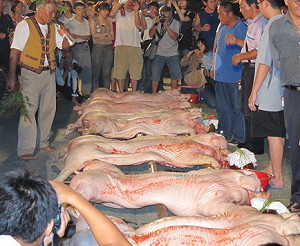 三族記系列30》初識漢文化 文字構造藏哲學