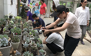 充滿萌萌療癒感！多肉植物展倒數3天  上百品種等你拍