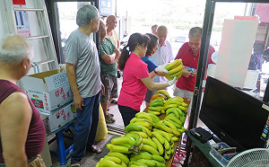 北市配合端午創意促銷香蕉 憑發票送蕉或吃一送一