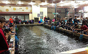 釣蝦場驗出含違規動物用藥 屏東縣府 : 養殖業者是無辜的