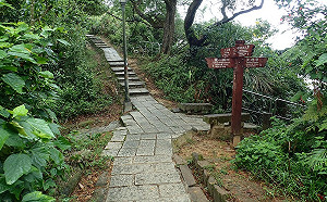 啟動夏日樂活模式！來南港山親山步道森呼吸一下