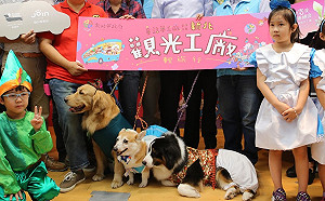 帶毛小孩同遊！觀光工廠輕旅行程人氣超夯