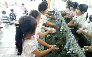 腸病毒重症再增兩例！5歲童高燒不退併發腦炎