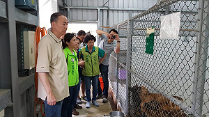 防止再棄犬 新北議員鄭宇恩會診八里動物之家
