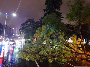 強風豪雨未解除旱象   南台灣寄望西南氣流