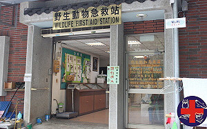 動物救傷照養   全年無休靠熱忱