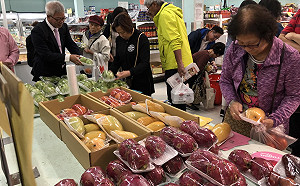 高雄金煌芒果前進加拿大 銷售屢創佳績