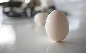 端午連假》端午立蛋也吃蛋 食藥署教你挑蛋小技巧