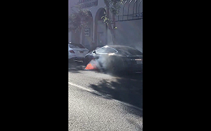 特斯拉電動車街頭起火 美國女星發影片 (影)