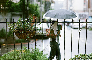 南部＋東南部留意陣雨！北台灣高溫上看36度
