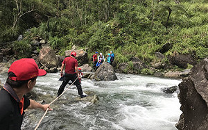 宜蘭登山遭蜂螫 找到失聯11人平安無恙