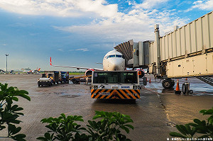 暑假旅遊小心蚊蟲！衛生局推4大基本功防疫