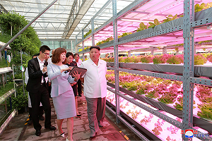 讀賣新聞：金正恩促習近平協助解除北韓制裁