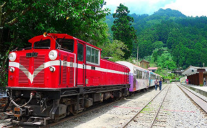 一起去看日出吧！阿里山森鐵明天正式恢復通車