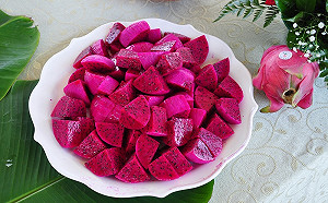 正值紅龍果產季！農改場教你這樣挑最好吃