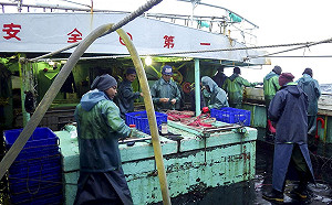 外籍漁工人權糟 綠色和平籲政府重視