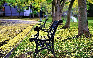 省府歸零》中興新村美景不收回！跟著IG走訪懷舊秘境