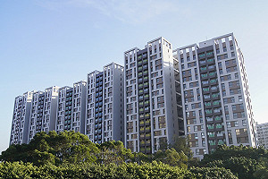 林口社會宅首日申請踴躍 租金6500元起跳