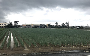 各地悶熱高溫上看34度！中南部嚴防豪、大雨