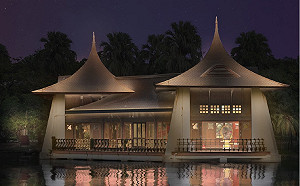 最美七夕夜景！台中公園4大美到脫單取景地