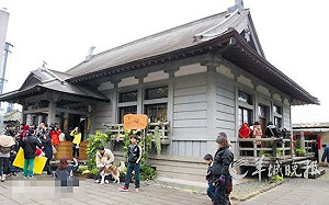 2018夏天想念飛飛 鄭文燦：設置紀念館成為大溪特色亮