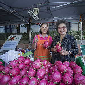 陳菊遭林濁水批越權   總統府：不覺得有憲政上的問題