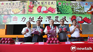 挺農友! 企業再購250噸火龍果