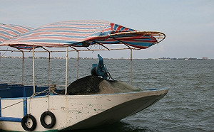 瑪莉亞逼近！東港－小琉球船班異動一覽表