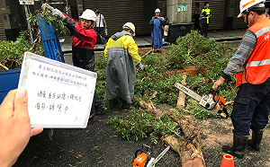 恢復城市容貌！台北五局處合作颱風災後修復
