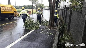 颱風過境路樹倒  桃市半天清理40噸垃圾