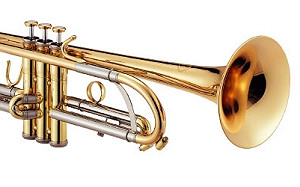 都是小喇叭惹的禍! 音樂系女學生染黴菌反覆咳嗽發燒