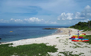 團結力量大！豪雨摧殘志工聯手再現小琉球原始美景