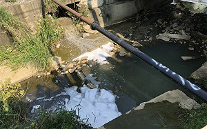 沙拉脫工廠偷排廢水  高市勒令停工將開罰