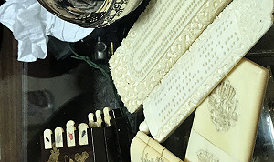 保護大象面臨瀕臨絕種  象牙109年元旦起不得販賣