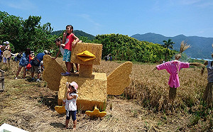 北市黃金稻田遊樂園！來關渡平原親身體驗米的一生