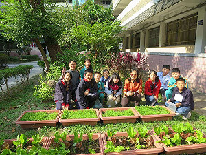 國產署同意撥空地種菜　柯p田園城市將實現