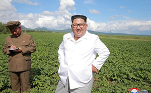 北韓70週年國慶　金正恩將於8月全面大赦