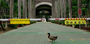 男子世足冠軍戰比數押對寶 彩金全捐學校