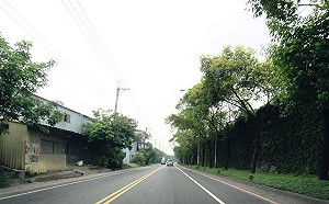 新莊本土登革熱再添1例 判為先前群聚感染