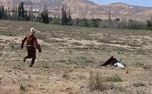 驚險！8歲女童遭大鵰誤認獵物 慘遭飛撲啃食