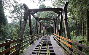 百年阿里山森鐵新里程！4大秘境鐵道旅遊搶先玩