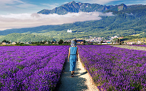 悶熱感秒解鎖的避暑天堂！帶你到日本東北3大必玩消暑勝地