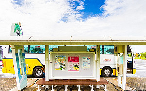 玩嘉義小資沒負擔！9/30前持悠遊卡可搭公車免費遊景點